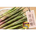 fu.... налог FYN9-178 {2026 год предшествующий предварительный заказ } Yamagata префектура производство натуральный дикоросы месяц гора .1kg 2026 год 6 месяц средний . из последовательный отправка дикоросы san .. овощи .... побеги бамбука гора.. Yamagata префектура запад река блок 