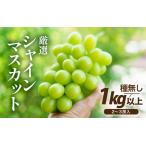 ショッピングふるさと納税 シャインマスカット ふるさと納税 【先行予約】厳選シャインマスカット 1kg以上（2〜3房）【種なし】フルーツパークOKAYU / 葡萄 シャインマスカット 完熟 旬 フル.. 福井県あわら市