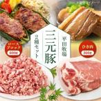 豚肉2種セット 豚肉 セット AJAP008