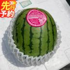熊本産 小玉すいか ピノガール 2玉入り