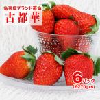 いちご 古都華 250g×6パック