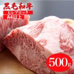 黒毛和牛 A5ランク サーロインブロック 500g