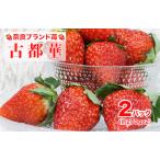 ふるさと納税 【2026年発送先行予約】いちご 苺 古都華(ことか) 270gx2パック 540g 特産品 イチゴ 奈良県産いちご 大人気いちご いちご いちご .. 奈良県河合町