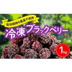 ショッピングふるさと納税 いちご ふるさと納税 【先行予約】ブラックベリー 1kg 冷凍 国産 フルーツ 果物 イチゴ いちご 苺 木苺 デザート スイーツ ジャム 手摘み 2024年6月24日.. 静岡県藤枝市