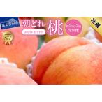 ふるさと納税 【2025年先行予約】【2回定期便】山梨朝どれ桃2kg×2回配送(白鳳系・白桃系)定期便 2回 白鳳系 白桃系 もも 山梨 富士吉.. 山梨県富士吉田市