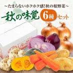 秋野菜セット 6種