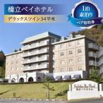 ペア宿泊券 1泊素泊り デラックスツイン34平米_旅行券