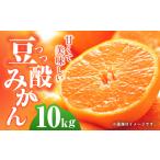 対馬 つつ みかん 10kg