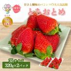 とちおとめ320g×2パック 3Lサイズ