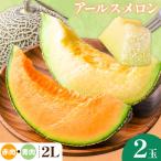 アールスメロン 赤肉 青肉 Lサイズ 各1玉