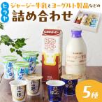 牛乳やヨーグルトなど 平林乳業5種セット