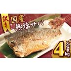 ショッピングふるさと納税 訳あり ふるさと納税 さば 訳あり 国産 無塩 4kg さば 千葉県銚子市