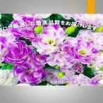 与論島のトルコキキョウ 20本以上