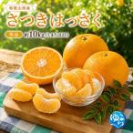 和歌山 さつきはっさく 10kg