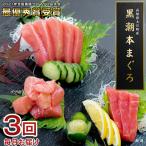 訳あり 不定貫 3回お届け 黒潮本マグロ 贅沢 食べ比べセット