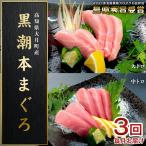 訳あり 不定貫 3回お届け 黒潮本マグロ トロ好きのためのト…