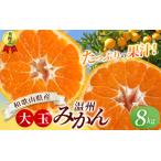 秀優品 大玉 温州みかん 8kg