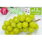 ふるさと納税 訳あり［不揃い・小粒］シャインマスカット 4パック 約1.3kg＋100g補償付 ご家庭用 宮崎県新富町産 製菓用 先行予約 ※2026年8月下.. 宮崎県新富町