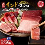 三崎マグロ 鈴木水産 天然インドマグロ 大トロ 中トロ 赤身 セット