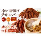 チキンバー 辛口 甘口 と 地どりめしの素 セット