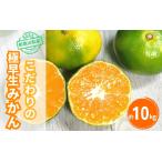 \光センサー選別 ちっちゃな有田みかんこつぶみかん約10kg