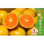 濃厚な味わい ご ゆら早生みかん約7kg