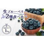 ふるさと納税 【先行予約:2025年7月25日以降発送】青果ブルーベリーおまかせ2品種食べ比べセット1Kg(500g×2パック)<アイケイファーム.. 北海道余市町