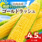 スイートコーン ゴールドラッシュ 計4.5kg_CBV16-26