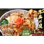 牛丼の具 150g×10パック
