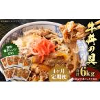 牛丼の具 150g×10パック