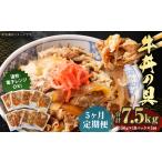 牛丼の具 150g×10パック