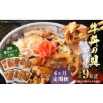 牛丼の具 150g×10パック