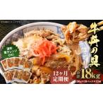 牛丼の具 150g×10パック