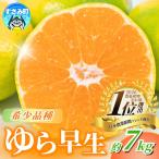 \光センサー選別 \農家直送 甘くて濃厚