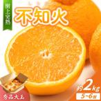 不知火 希少な樹上完熟 秀品大玉 6個入