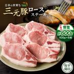 日本の米育ち平田牧場 三元豚ロースステーキ 100g×6枚