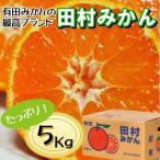 高級みかん秀 田村みかん 約5kg