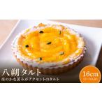 八朔タルト16cm タルト ケーキ 焼き菓子