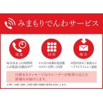 郵便局のみまもりサービス みまもりでんわサービス