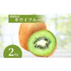 ふるさと納税 キウイ 2kg 愛媛 国産キウイフルーツ ヘイワード 先行予約 【2026年11月から順次発送予定】 数量限定 伊予市｜A20 愛媛県伊予市