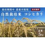 令和7年産 玄米 自然栽培米 亀岡産コシヒカリ 5kg