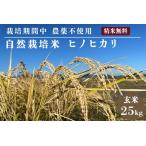 米 令和7年産 自然栽培米 ヒノヒカリ 玄米 25kg
