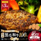 ハンバーグ定期便隔月3回 塩で食べるやわらかハンバーグ