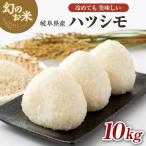 新米 米 10kg