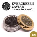 産キャビアEVERGREEENCAVIARエバーグリーンキャビア12g