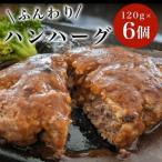 ハンハーグ 120g×6個