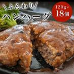 ハンハーグ 120g×18個