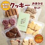 植物性素材のクッキー おまかせセット じみじみおやつ