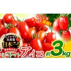 ふるさと納税 ミニトマト アイコ 約 3kg  | ミニトマト トマト 熊本県 玉名市 熊本県玉名市