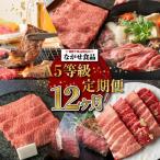 定期便 飛騨牛食べ尽くし12回 約4.96kg